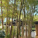 Jardines De Golondrinas Elviria By The Nikki Apartamento Marbella