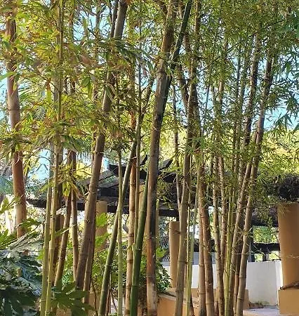 Jardines De Golondrinas Elviria By The Nikki 公寓 马尔韦利亚